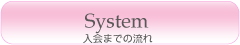 System